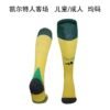 2425 Season Celtics away Adult Socks