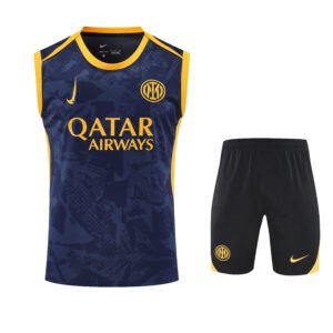 New arrival 2526 Season Inter Milan Jersey 25/26 Blue and Yellow Short Vest Kit