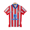 2425 Season Authentic Atletico Madrid 24/25 Home Soccer Jersey Player version